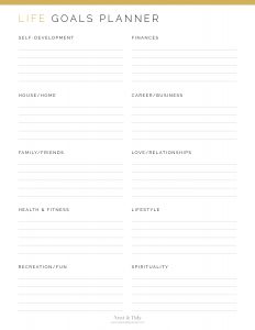 Goal & Life Planner Kit - Neat and Tidy Design