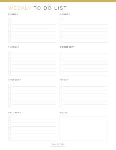 Weekly To Do List - Neat and Tidy Design