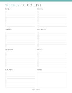 Weekly To Do List - Neat and Tidy Design