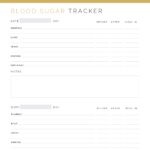 Daily Blood Sugar Tracker - Medical Binder PDF
