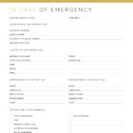 Travel planner in case of emergency document, printable pdf