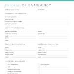 Travel planner in case of emergency document, printable pdf