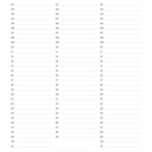 Monthly Overview planner, printable PDF
