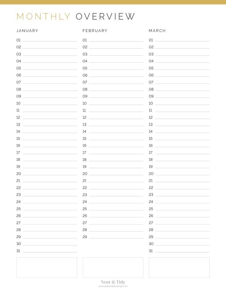 Monthly Overview Planner - Neat and Tidy Design