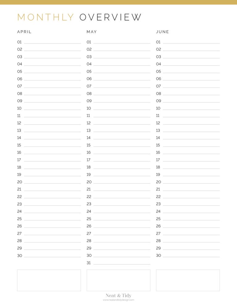 Monthly Overview Planner - Neat And Tidy Design