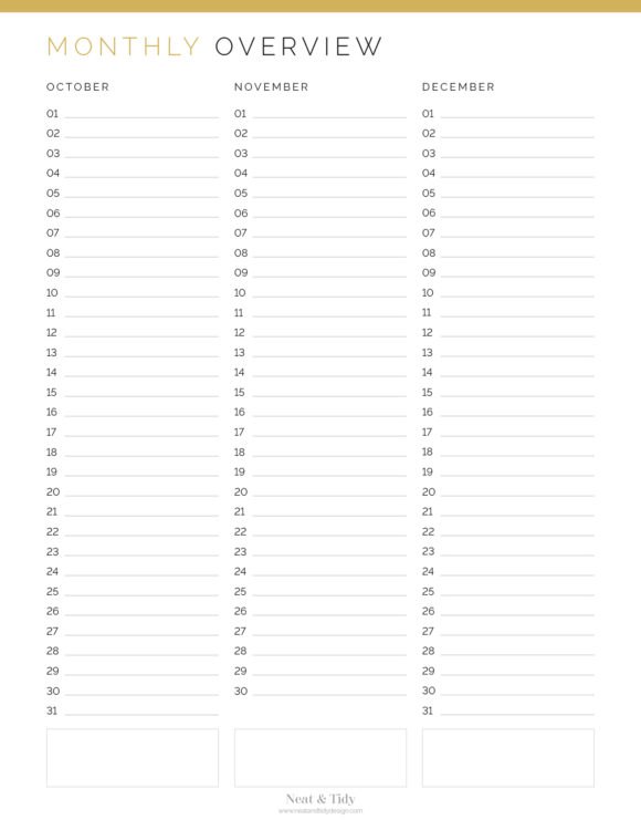 Monthly Overview Planner - Neat and Tidy Design