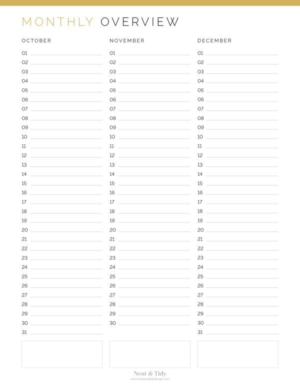 Monthly Overview Planner - Neat and Tidy Design