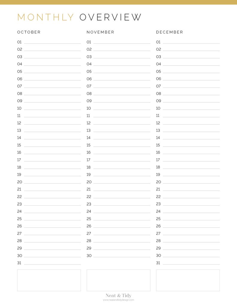 Monthly Overview Planner - Neat and Tidy Design