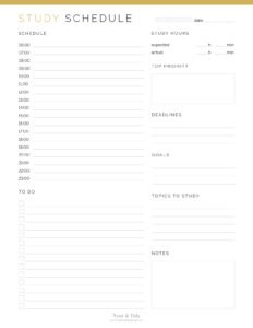 Daily & Weekly Study Schedule - Neat and Tidy Design