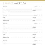 printable, fillable project overview progress tracker pdf