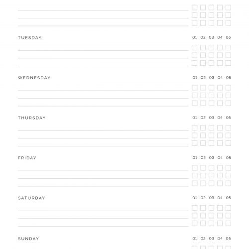 Daily & Weekly Routines Planner - Neat and Tidy Design