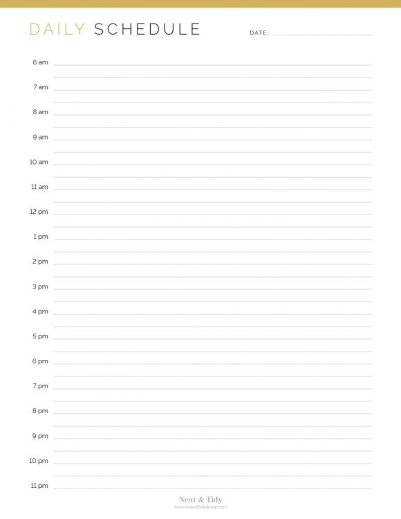 Daily Schedule Neat And Tidy Design
