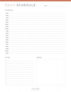 Daily Schedule - Neat and Tidy Design