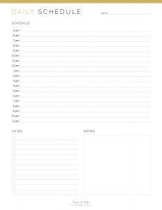 Daily Schedule - Neat and Tidy Design