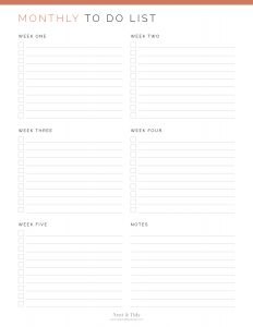 Monthly To Do List - Neat and Tidy Design