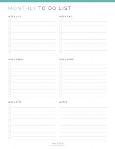 Monthly To Do List - Neat and Tidy Design