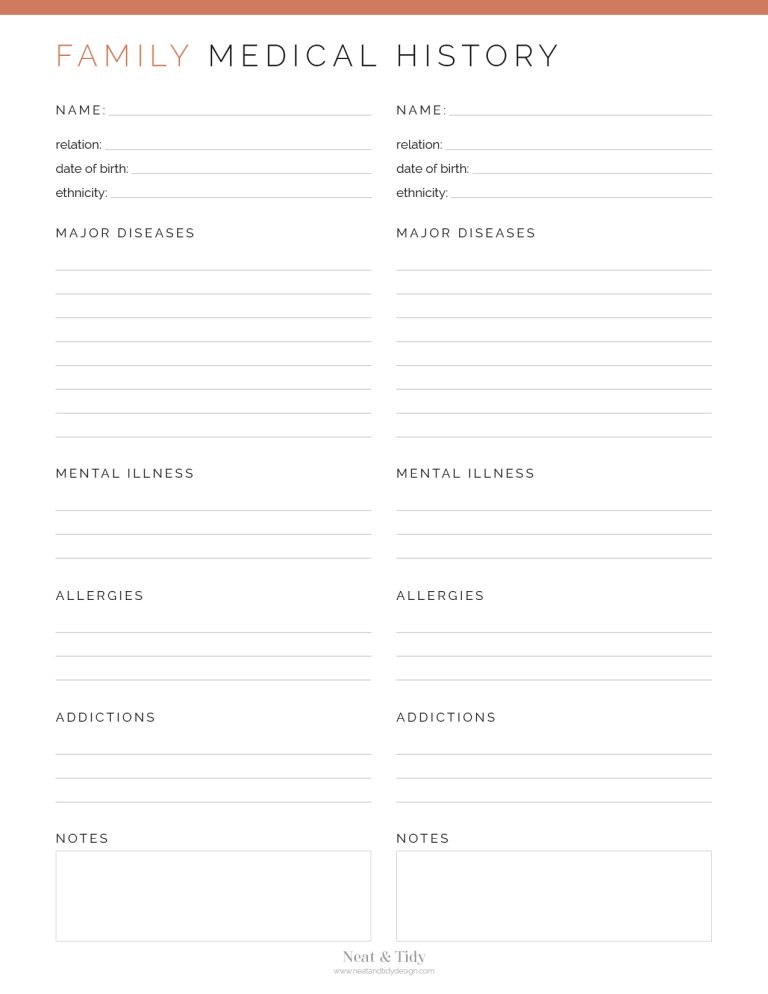 Treatment Planner Kit - Neat and Tidy Design