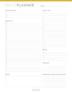 Daily Planner - v2 - Neat and Tidy Design